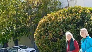 Набережная Алые паруса.Гуляем.