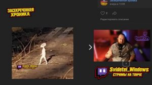 Женщина случайно сняла на камеру маленькое гуманоидное существо