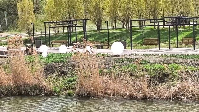 Променад по набережной Везёлки 29.04.26.