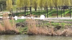 Променад по набережной Везёлки 29.04.26.