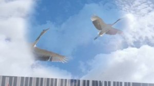 Журавли - Ян Френкель, пианино