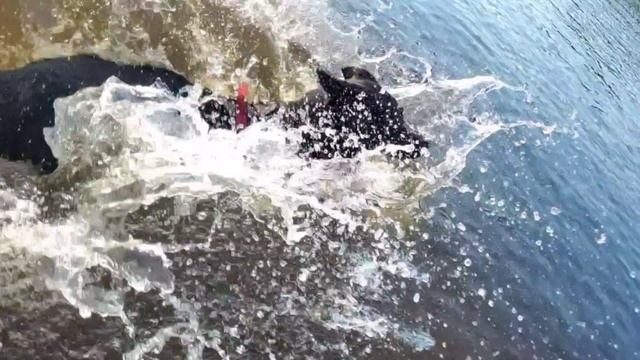 Lv_0_20250727163538[1]