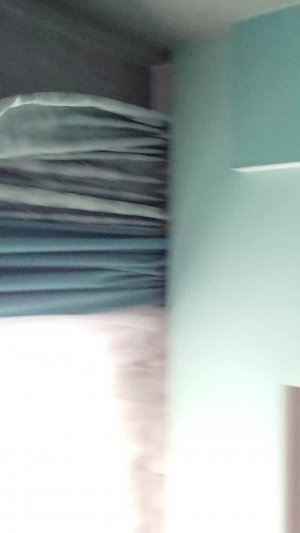 Sonic Сегодня мы с улей играем дома