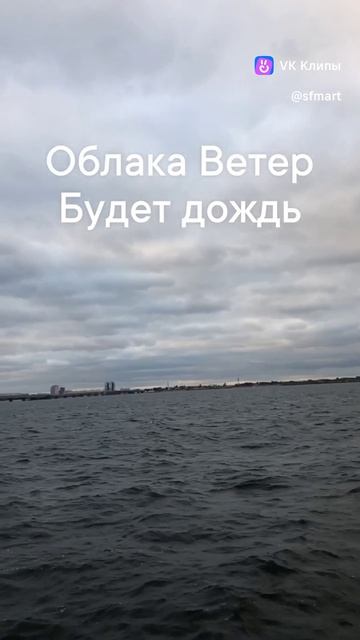 vkclips_20250205022702