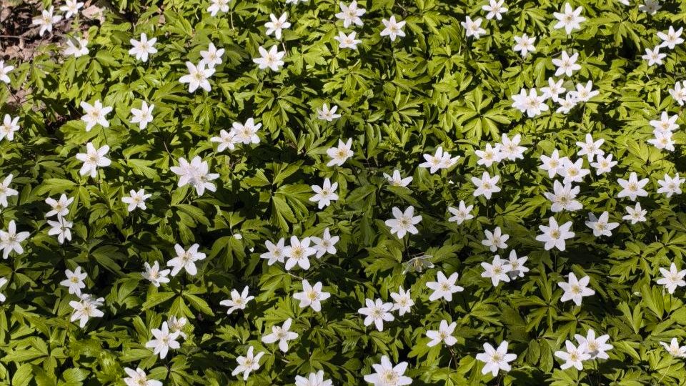 Поездка в город  что купили?