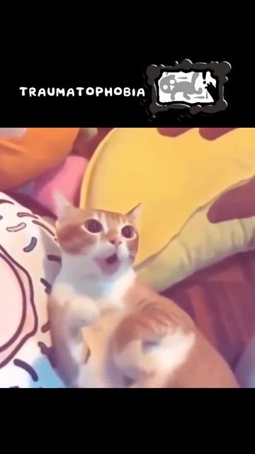 Прохождение мяугеникс на канале