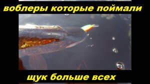 Воблер, которые поймал больше всех щук. Китайцы или японцы.