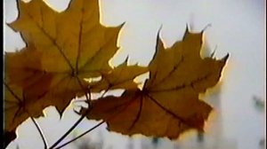 «ВРЕМЕНА ГОДА» цикл видео зарисовок Part 4  (1995 г.)