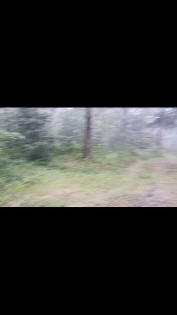 сплав по Киржачу