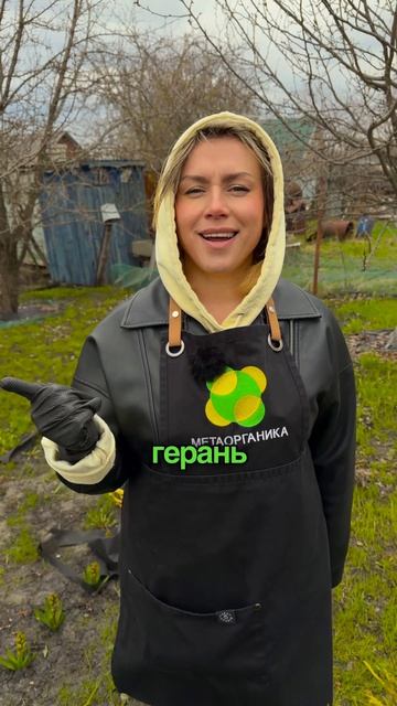 Некоторые комнатные растения нельзя сажать вместе  у них слишком разные требования к условиям.