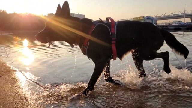 lv_0_202507260833471