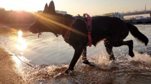 lv_0_20250726083347[1]