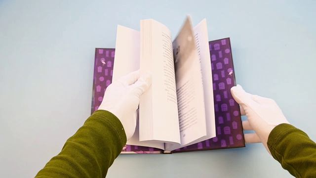 Бухта мотыльков