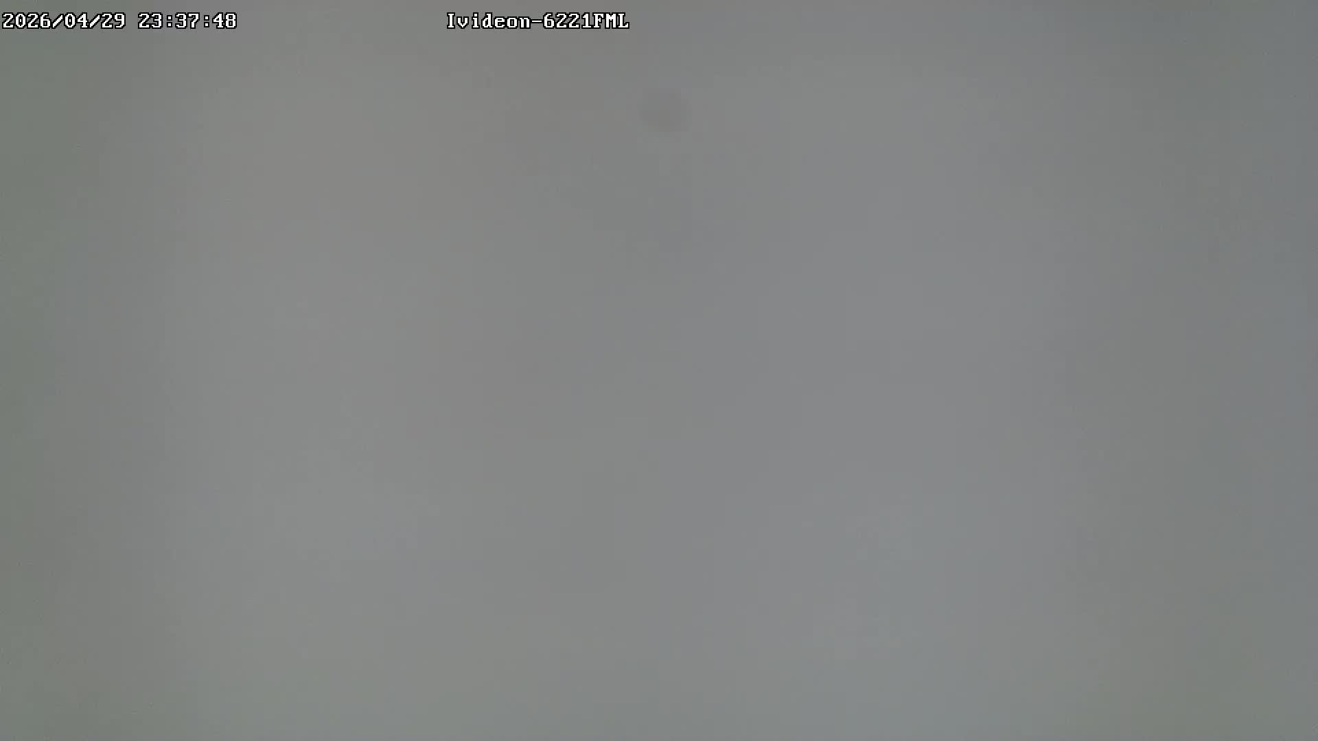 LIVE: channel43489494