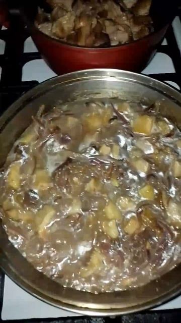 Томленая индейка с Белыми грибами и овощами.еда едаотшефа