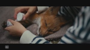 Мой дикий друг. Возвращение домой (2026)