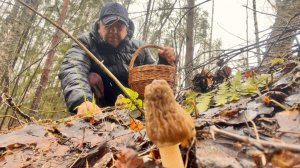 ЗА ГРИБАМИ В НЕПОГОДУ! Сбор грибов во время снега! Грибы 2026