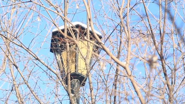 Татьянин день 2024