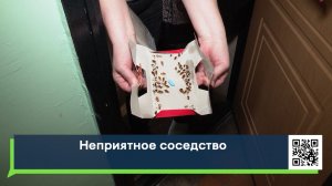 Неприятное соседство