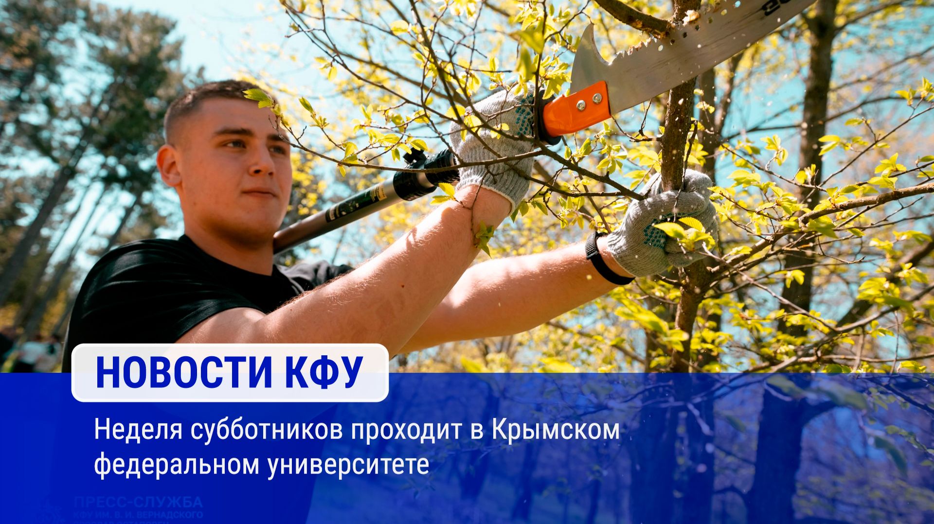 Неделя субботников проходит в Крымском федеральном университете