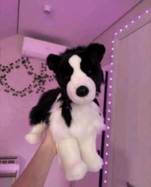 трансляция