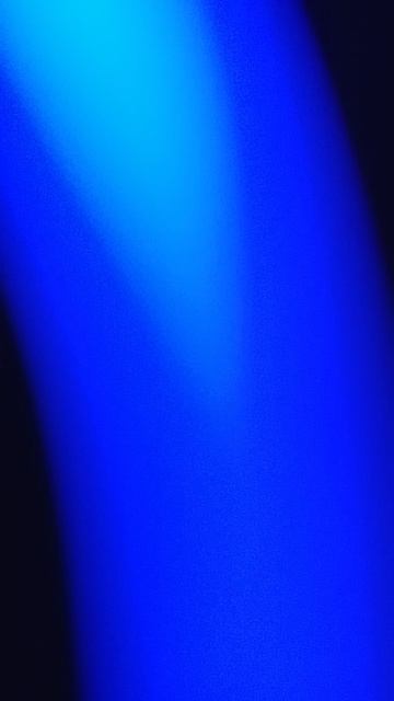 Не пропустите трансляцию! Я стал котиком 2