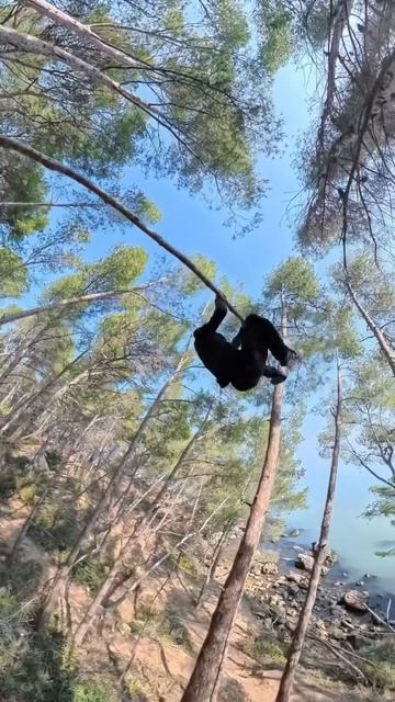 паркур и также у меня есть ютуб канал Vladimir chekin