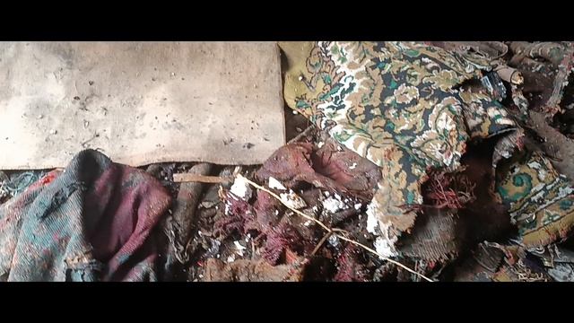 разбираем заброшенный дом и участок 4