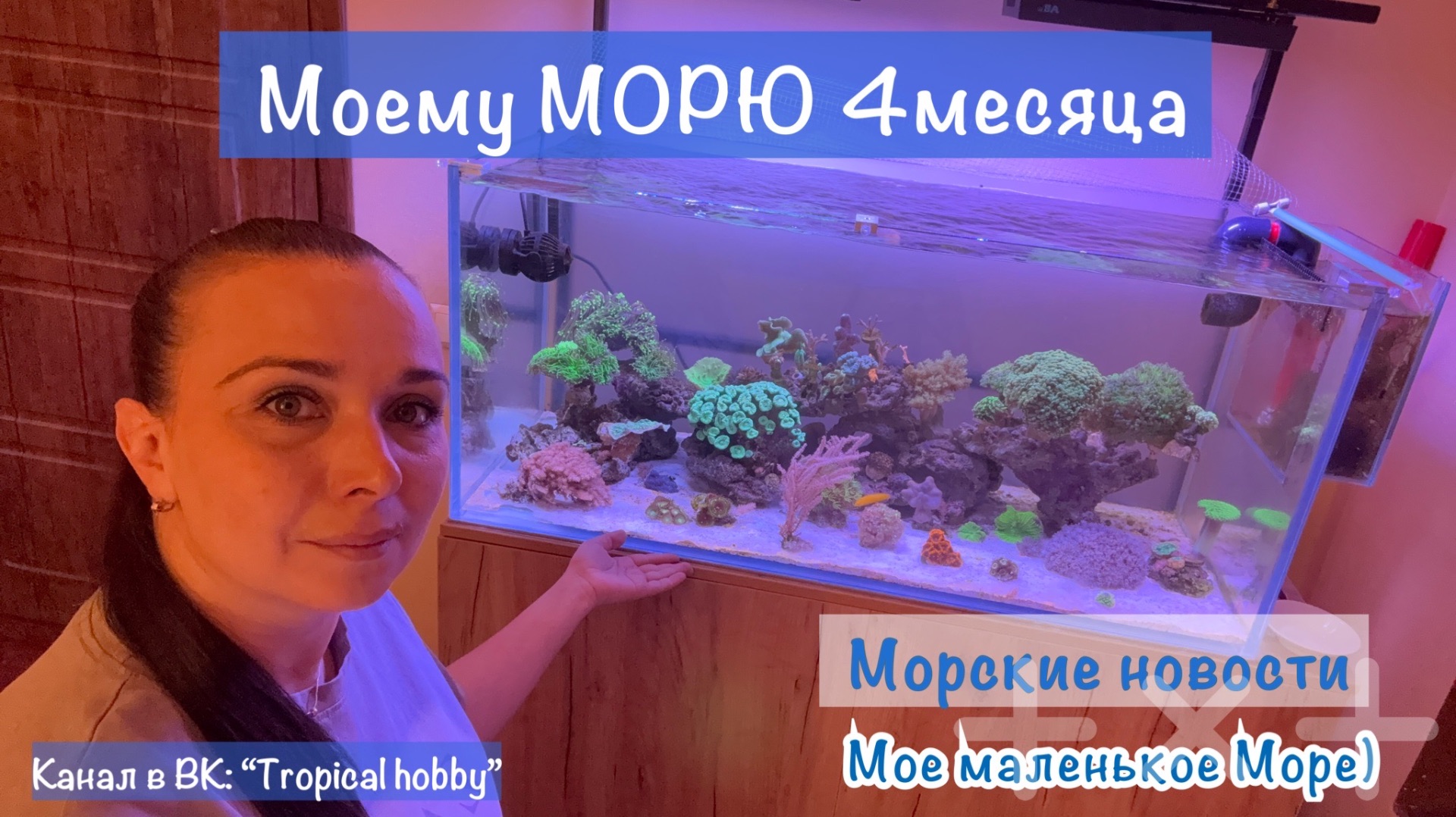 Морской аквариум. Моему морю 4 месяца