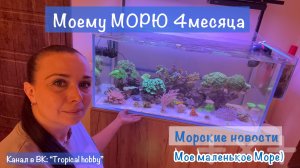 Морской аквариум. Моему морю 4 месяца🎂