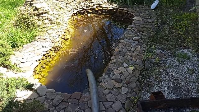 говняные прудики