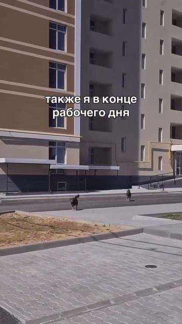 ЖБС Фундамент Великий Новгород