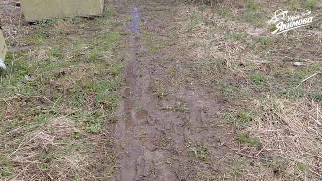 Продолжаю обустройство обогрева ульев и семей пчёл и проверку работы