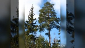 Стихи для детей. Часть 1.