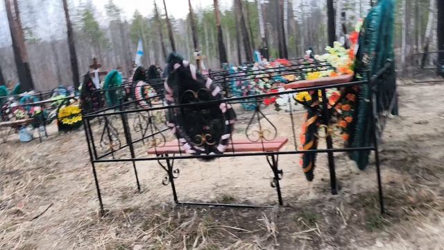 Радоница Чистопородный 2026 год