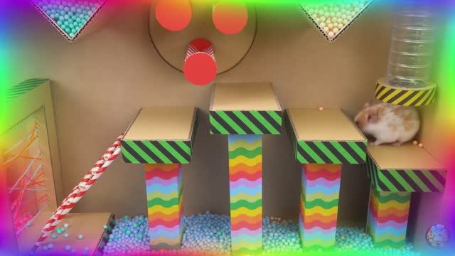 Приключения хомячка в мире кино! 11