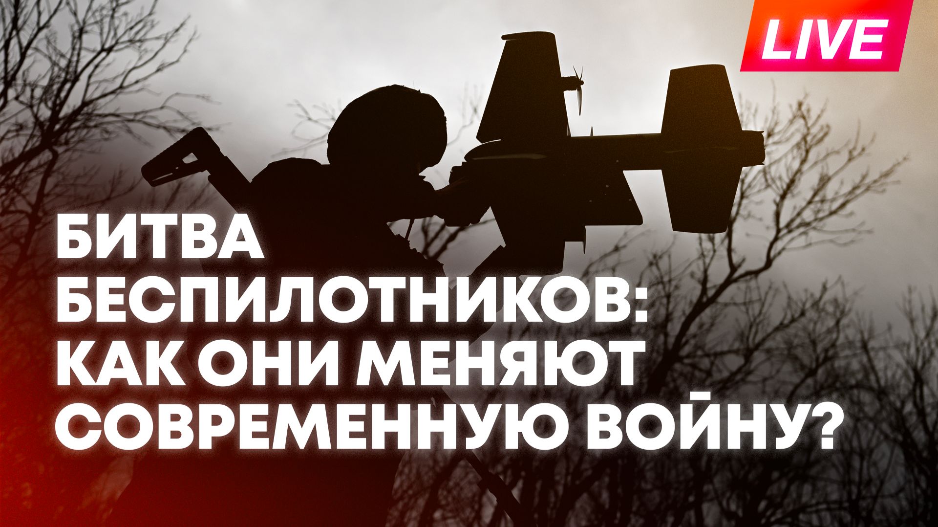 Революция дронов: какой будет война XXI века и чем опасно развитие БПЛА