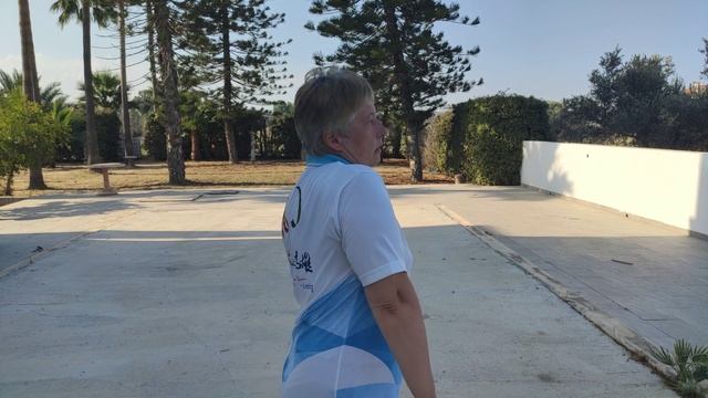 Плечи и знак 