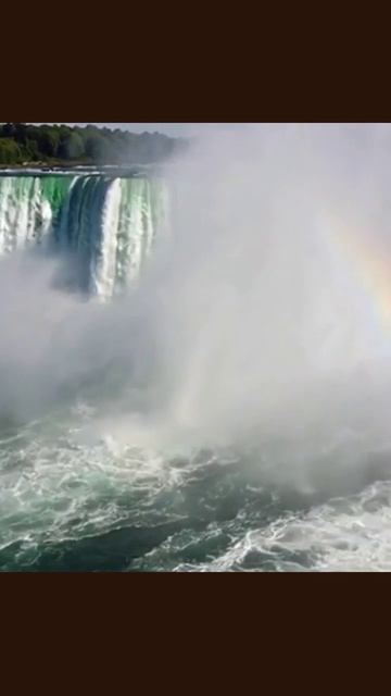 вирусное_видео развлечение забавное_видео фото_вирус