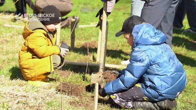 Зелёная весна. В парке 200 лет Егорьевску школьники посадили черёмуху