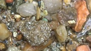 Нашёл россыпь самородного 3олота!