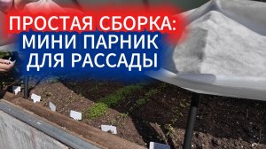 Зачем ставим мини парник внутри  теплицы?  Как уберечь рассаду от солнечных ожогов  после высадки