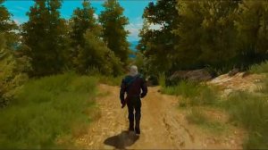 Witcher 3 Soundtrack Ambience (Walking to Beauclair  Toussaint)