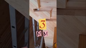 1000057221.mp4 (Собака наблюдает за устройством лестницы на 2-ой этаж в доме А-фрейм)