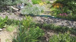 Высадила и пересадила некоторые растения.