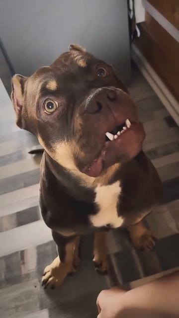 Будешь кусать - не будет огурцов. Страшная угроза.