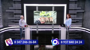 «Уфимское время» - Огородные истории