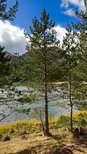 Доброе утро, СКГА