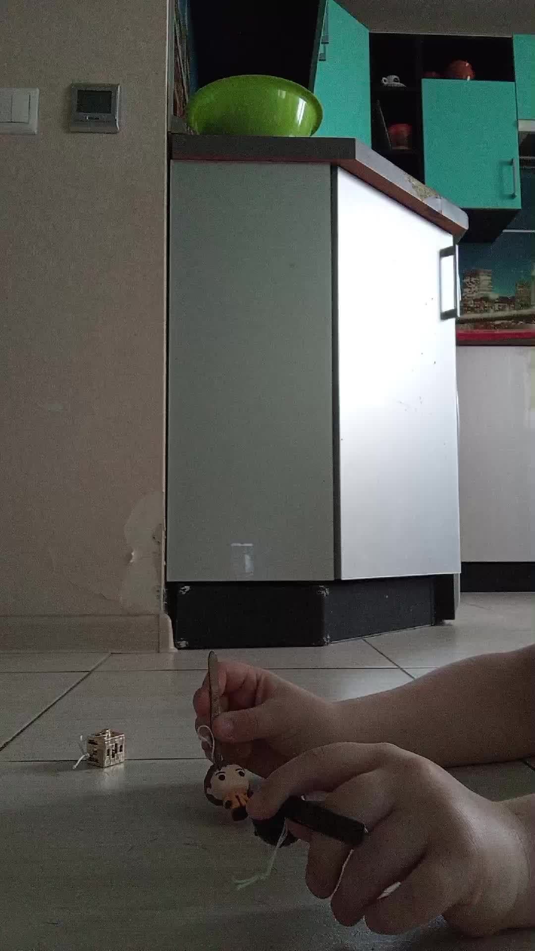 фильмих надо поймать