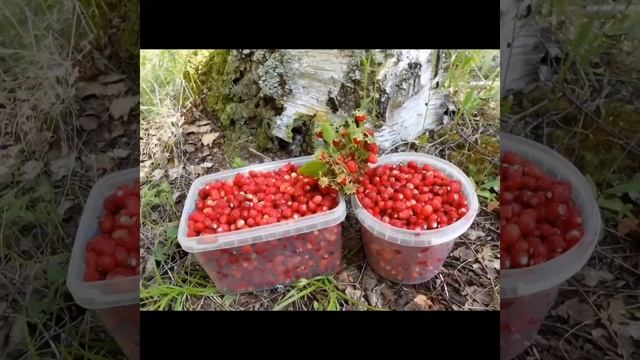 MOV_20260425_055207_812